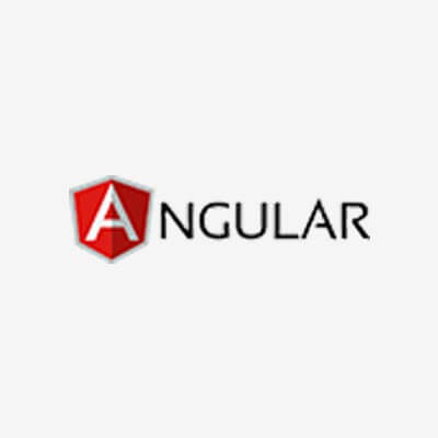 Angular JS Development Company in Delhi India